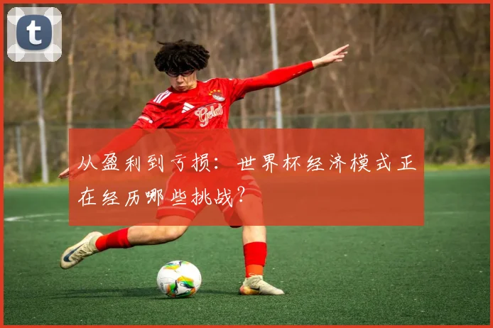 从盈利到亏损：世界杯经济模式正在经历哪些挑战？
