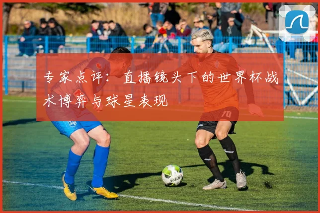 专家点评：直播镜头下的世界杯战术博弈与球星表现