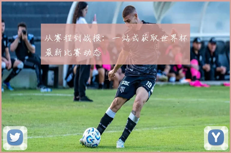 从赛程到战报：一站式获取世界杯最新比赛动态