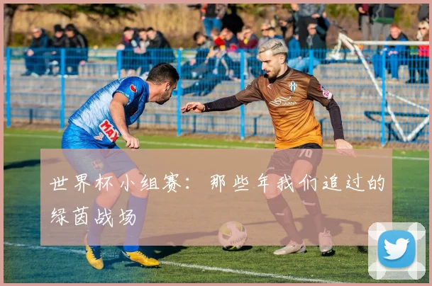 世界杯小组赛：那些年我们追过的绿茵战场