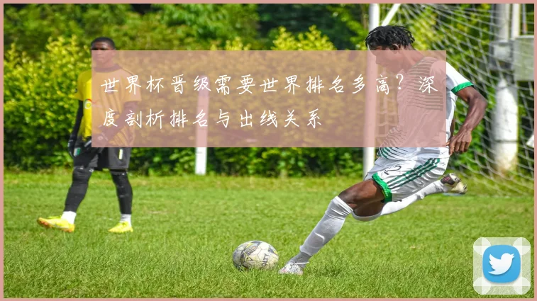 世界杯晋级需要世界排名多高？深度剖析排名与出线关系
